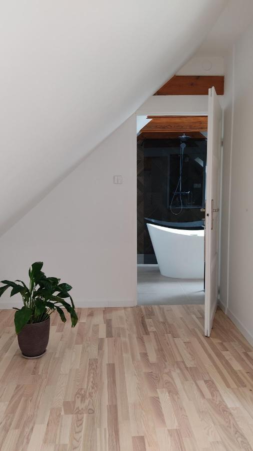 Apartamenty Ceglane Stary Toruń エクステリア 写真